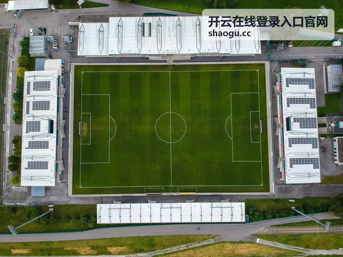 开云在线登录入口官网在线服务与业务入口界面总览