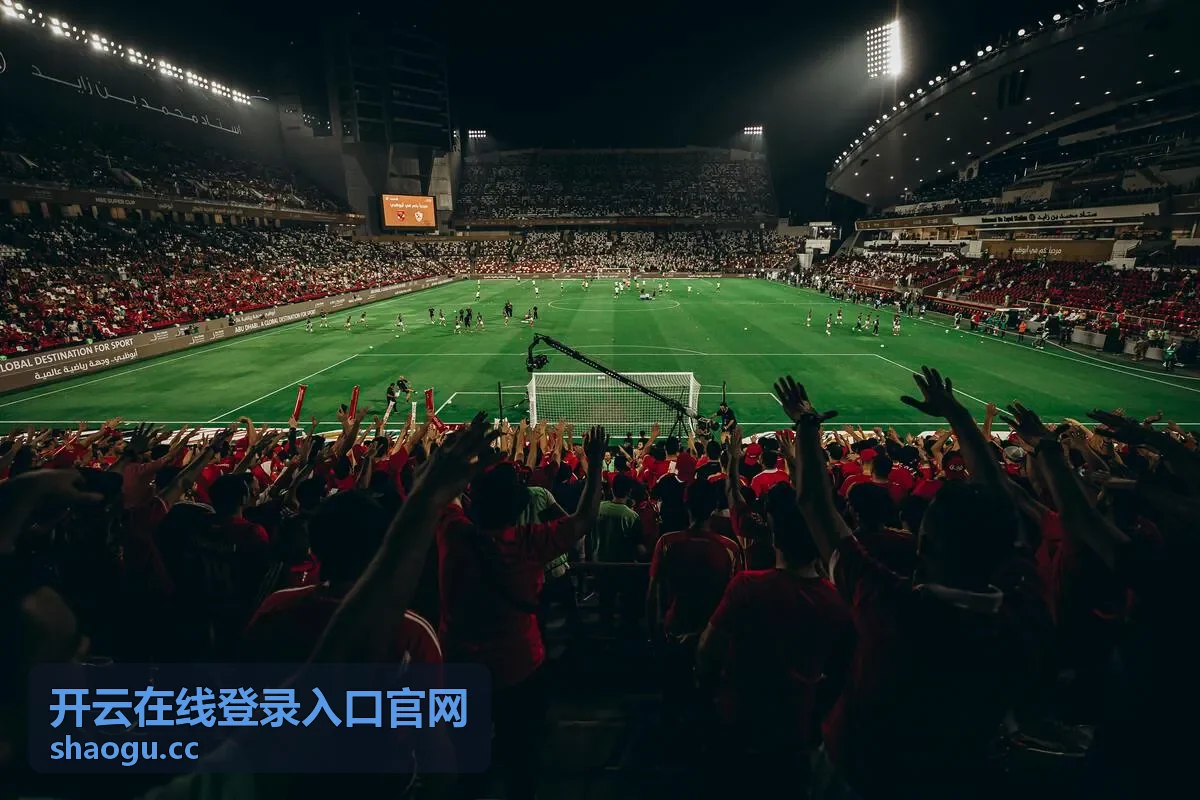 开云在线登录入口官网二次身份校验步骤说明